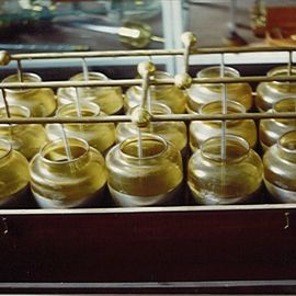 Leydnerbatteri